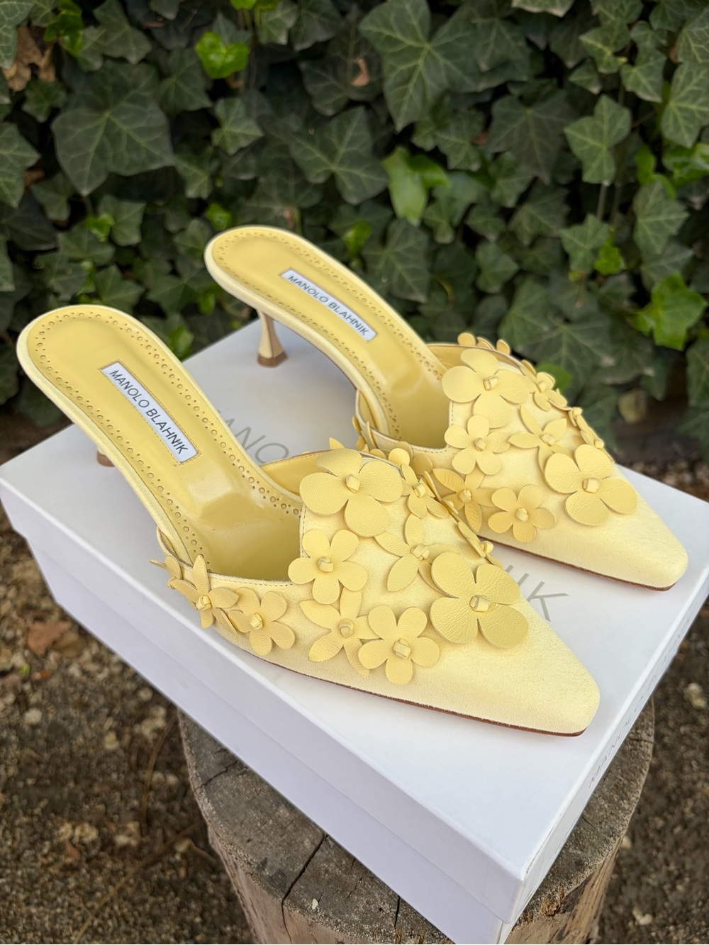 Manolo Blahnik’s Harnes 50 Appliquéd Suede Mules Pastel Yellow Size EU 40 - Picture 6 of 10